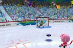 Mario & Sonic at the Olympic Winter Games (Wii)