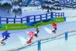 Mario & Sonic at the Olympic Winter Games (DS)