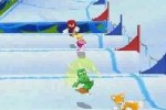 Mario & Sonic at the Olympic Winter Games (DS)