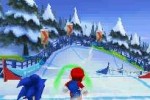 Mario & Sonic at the Olympic Winter Games (DS)