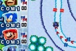 Mario & Sonic at the Olympic Winter Games (DS)