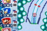 Mario & Sonic at the Olympic Winter Games (DS)