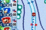 Mario & Sonic at the Olympic Winter Games (DS)