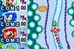 Mario & Sonic at the Olympic Winter Games (DS)