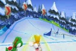 Mario & Sonic at the Olympic Winter Games (DS)