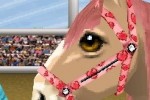 Petz Pony: Beauty Pageant (DS)
