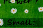 Love ? (iPhone/iPod)