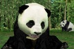Animal Paradise Wild (DS)