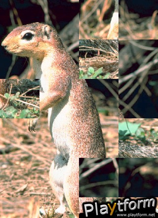 Puzzilla Animals (iPhone/iPod)