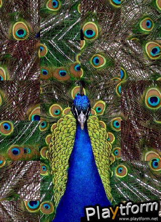 Puzzilla Animals (iPhone/iPod)