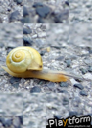 Puzzilla Animals (iPhone/iPod)