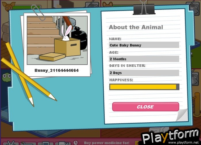 Animal Shelter (PC)