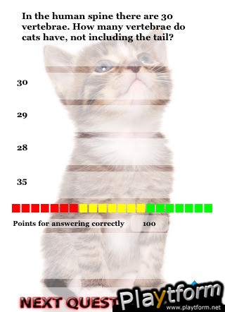 Cat Trivia (iPhone/iPod)