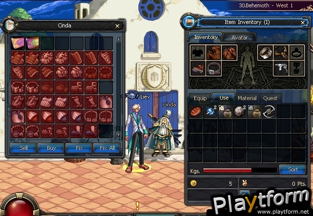 Dungeon Fighter Online (PC)