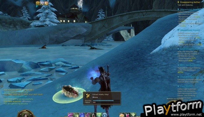 Aion (PC)