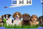 Puppy Palooza (iPhone/iPod)