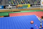 Deca Sports 2 (Wii)