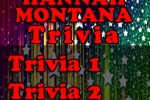 Hannah Montana Trivia and Quiz (iPhone/iPod)