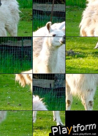Picturati (iPhone/iPod)
