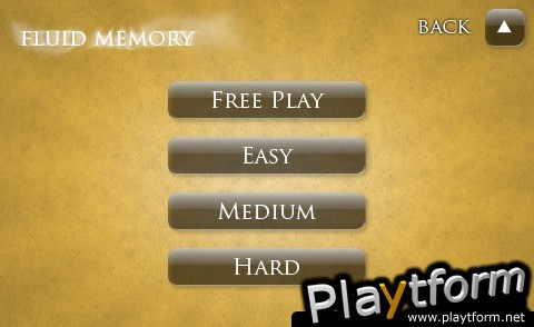 Fluid Memory (iPhone/iPod)
