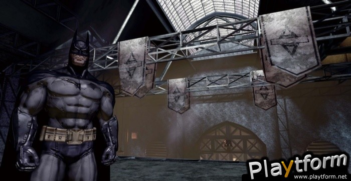 Batman: Arkham Asylum (PC)