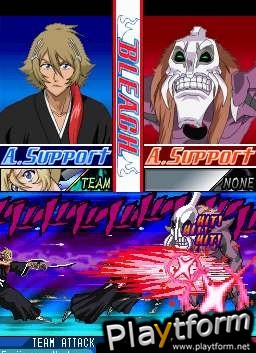 Bleach: The 3rd Phantom (DS)