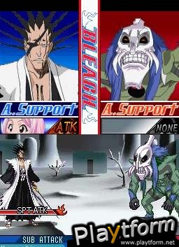 Bleach: The 3rd Phantom (DS)