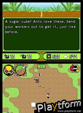 Ant Nation (DS)