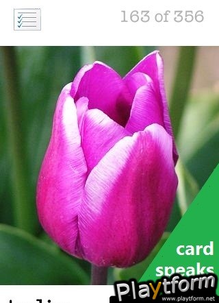 Spell & Listen cards - the talking flashcards for spelling (iPhone/iPod)