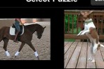 ZipPuzzle Video (iPhone/iPod)