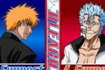 Bleach: The 3rd Phantom (DS)