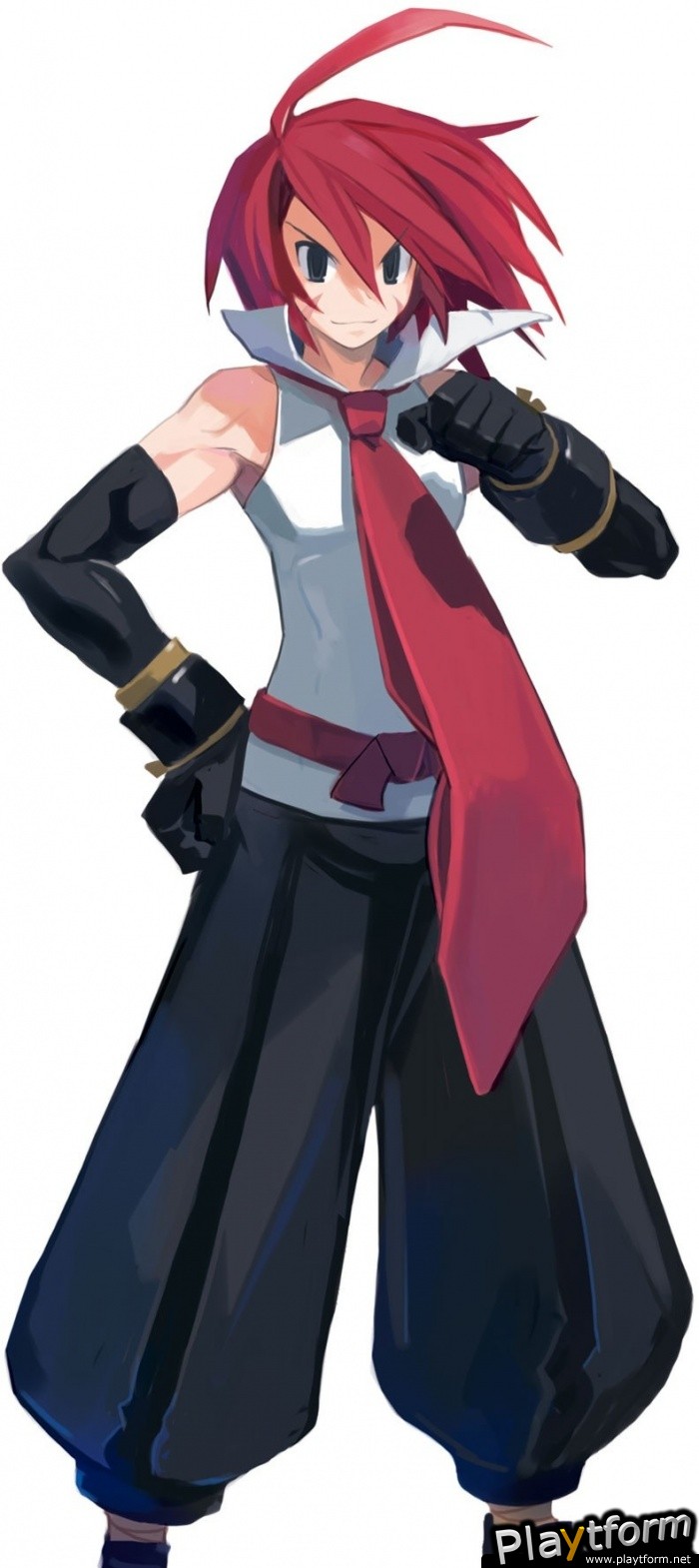 Disgaea 2: Dark Hero Days (PSP)