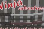 Ninja Adventures (iPhone/iPod)