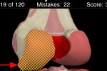 Anatomy Knee Quiz (iPhone/iPod)