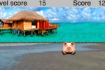 Swine Flu Game (iPhone/iPod)