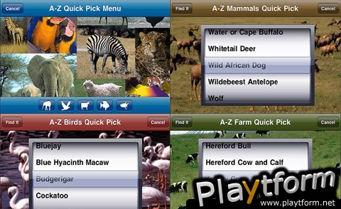 Backyard Zoo iFlashcards Deluxe (iPhone/iPod)