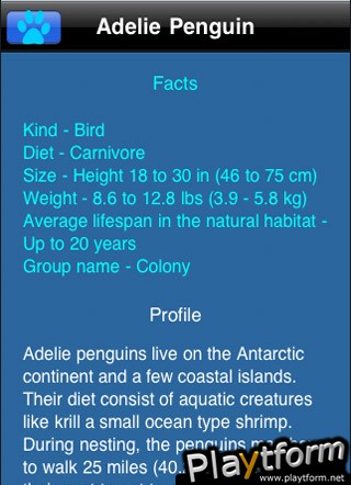 Backyard Zoo iFlashcards Deluxe (iPhone/iPod)