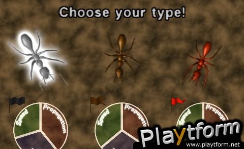 Ant Wars (iPhone/iPod)