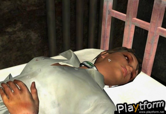 Still Life 2 (PC)