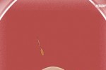 Birth Control (iPhone/iPod)