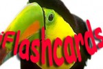 Backyard Zoo iFlashcards Deluxe (iPhone/iPod)
