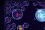 Osmos (PC)