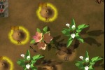 Ant Wars (iPhone/iPod)