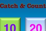 Catch and Count (iPhone/iPod)
