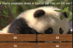 MyEarth (iPhone/iPod)