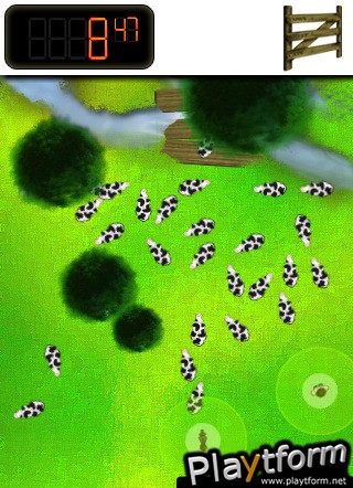 Herd of Cows? (iPhone/iPod)