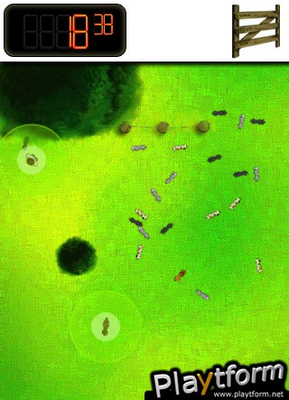 Herd of Cows? (iPhone/iPod)