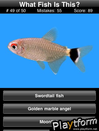 Name This Fish (iPhone/iPod)