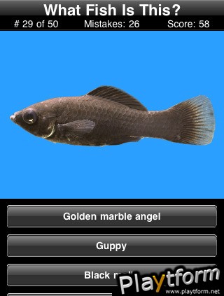 Name This Fish (iPhone/iPod)