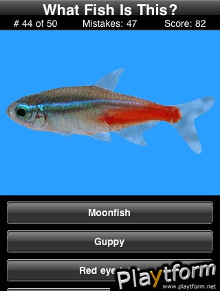 Name This Fish (iPhone/iPod)